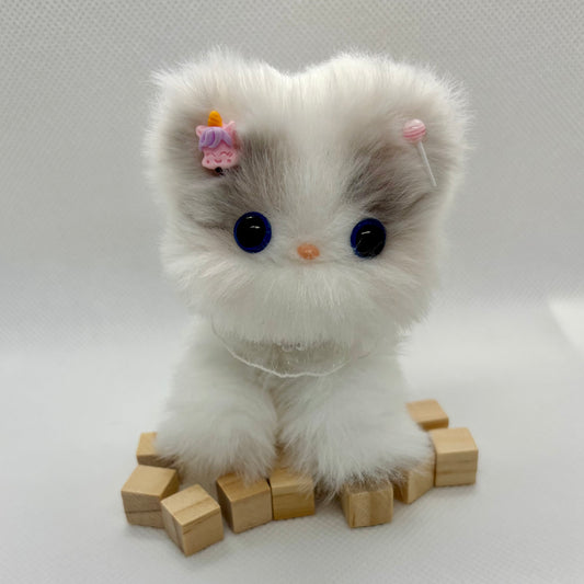 Kitty for demonstration