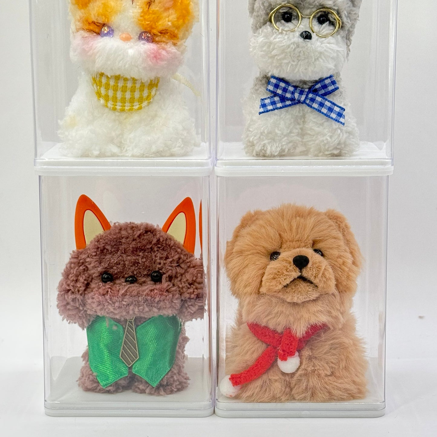 Display Case (regular)