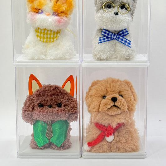 Display Case (regular)