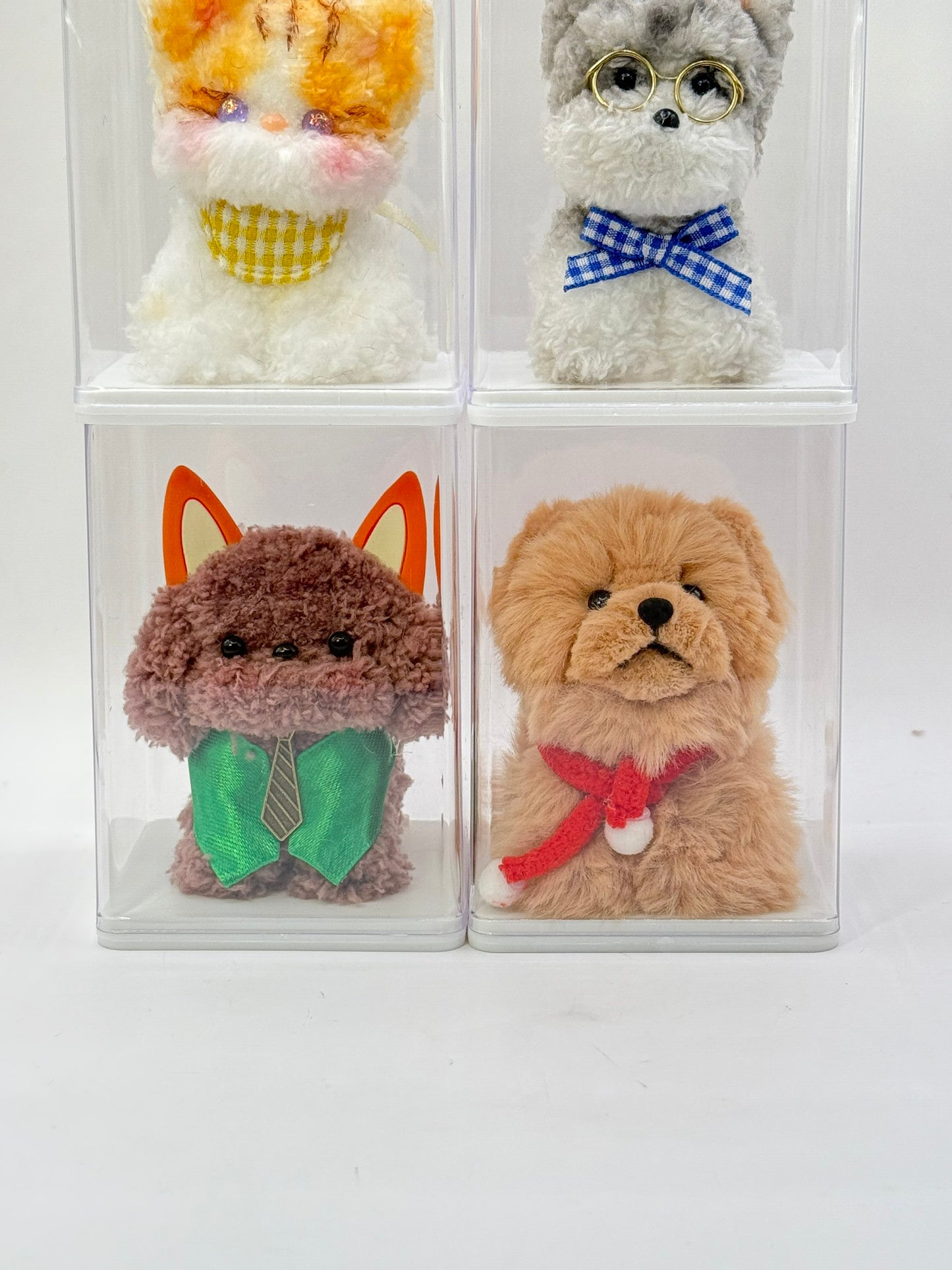 Display Case (regular)