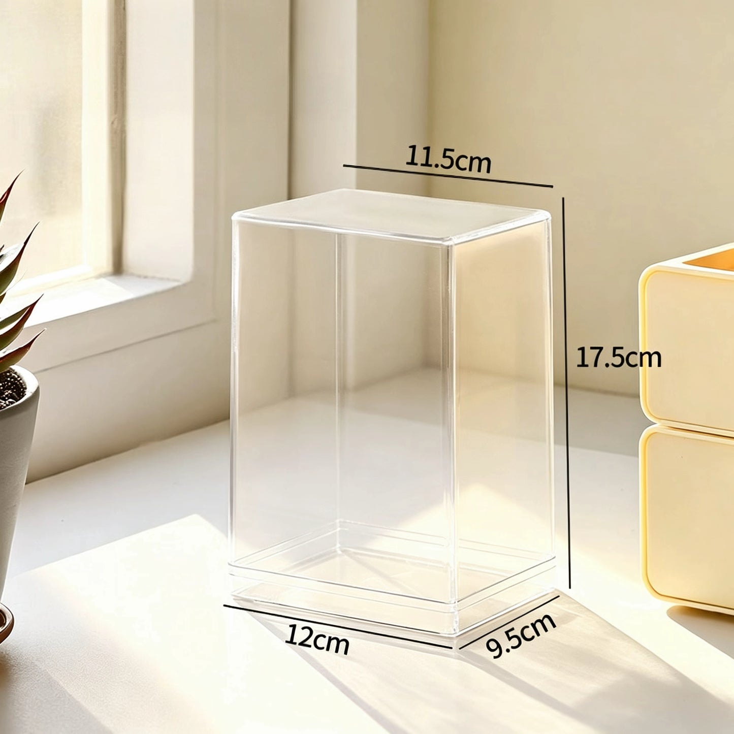 Display Case (PLUS size)