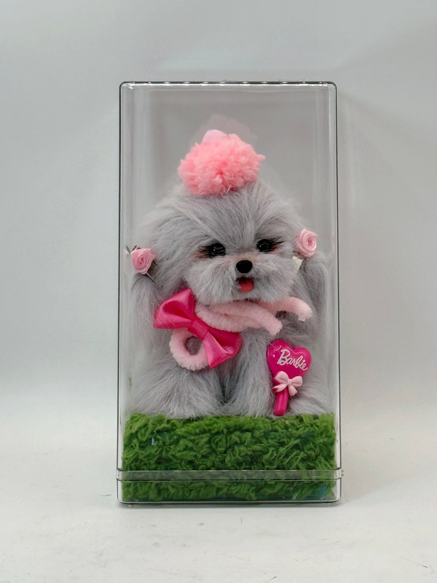 Display Case (PLUS size)
