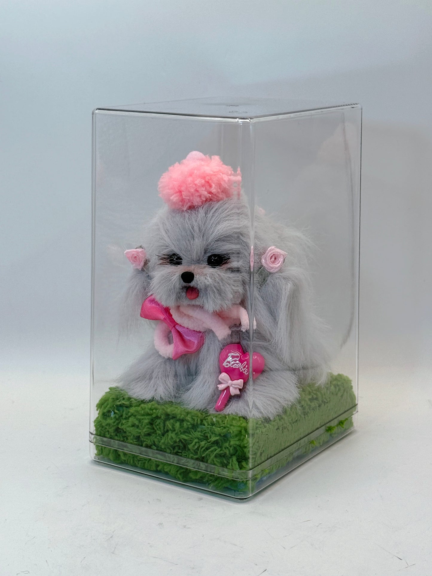 Display Case (PLUS size)